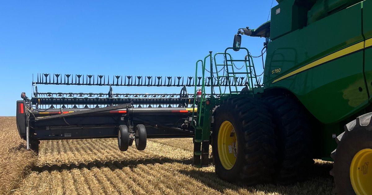 duck foot tines on john deere header